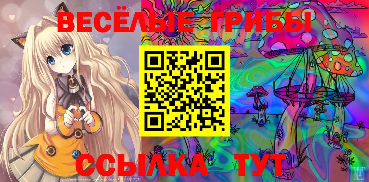 Галлюциногенные грибы прущие грибы  Вход с VPN  Галлюциногенные грибы мицелий  хочу   Дивногорск 